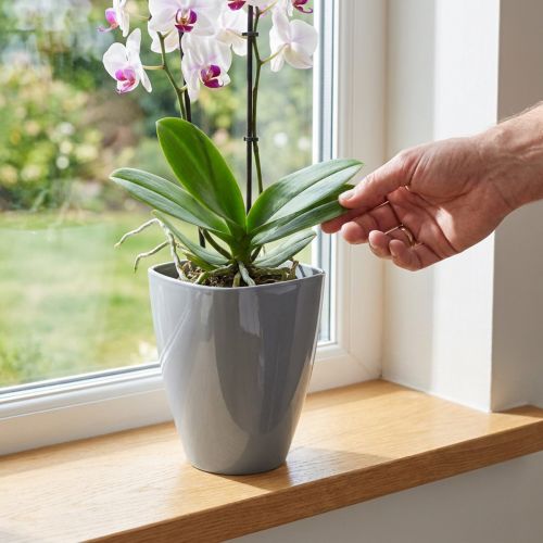 Pot à orchidées brillant Ø12,5cm gris 1 pièce | Floristik24.be
