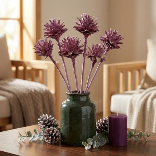Article Fleurs de leucospermum Givrée couleur mûre 24-35cm 25pcs