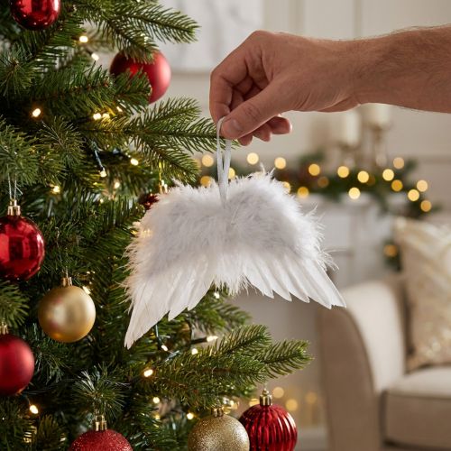 Petites ailes en plumes