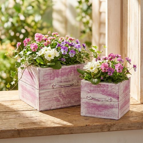 Tiroir à plantes avec poignée bois blanc rose 12/15cm lot de 2 | Floristik24.be