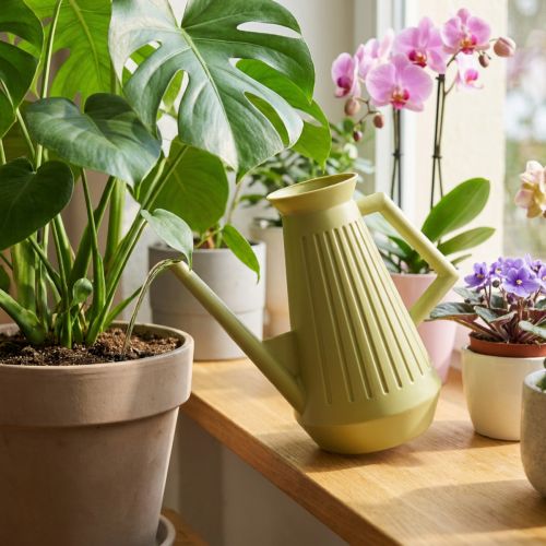 Arrosoir d'intérieur, vert olive, style rétro, 24,5 cm, 1,8 L, arrosoir design, plastique, pour plantes | Floristik24.be