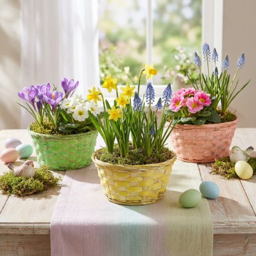 Article Bol à plantes rond Ø20cm coloris assortis. 8 pièces