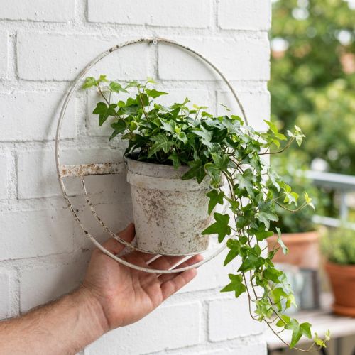 Cache-pot shabby chic décoration murale métal blanc avec suspension Ø37cm | Floristik24.be