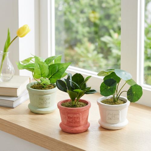 Plantes vertes artificielles mini plantes en pot 15cm 3pcs | Floristik24.be