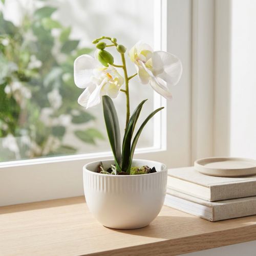 Mini orchidées artificielles blanches en pot de 15 cm | Floristik24.be