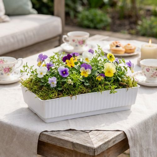 Barquette à mousse florale Plateau blanc 15×8×4cm 10pcs | Floristik24.be