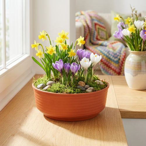 Bol en Z en plastique Ø16cm 10 pièces | Floristik24.be