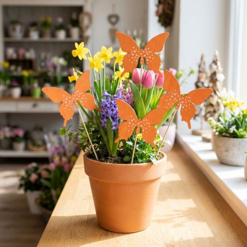 Bouchon de fleur en bois papillon coloré 9cm/29cm 12pcs | Floristik24.be