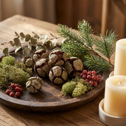Cônes de cyprès naturels, 3 cm, 500 g | Floristik24.be
