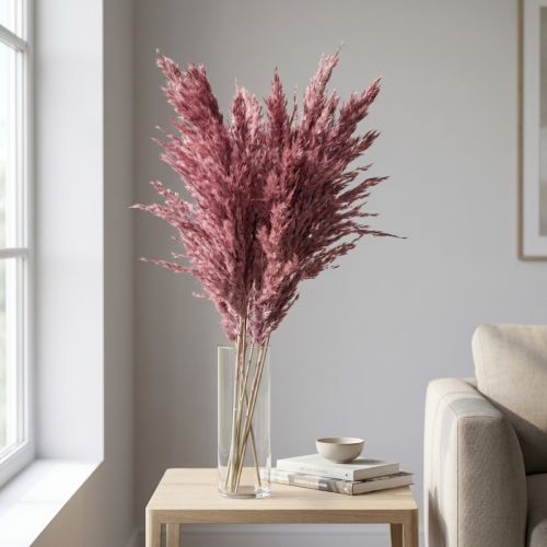 Roseau séché, herbe décorative séchée, rose antique, 75 cm, 10 pièces | Floristik24.be