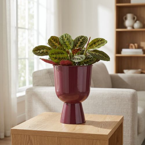 Article Pot de fleurs en forme de coupe, style moderne, décoratif pour la maison et le bureau, 23 cm
