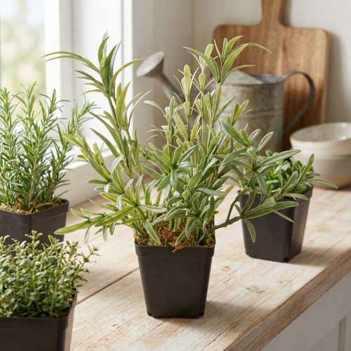 Sauge en pot Salvia Lavandulifolia Artificielle H25cm | Floristik24.be