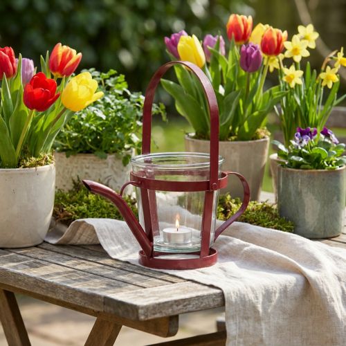 Lanterne verre arrosoir décoratif métal rouge Ø14cm H13cm | Floristik24.be