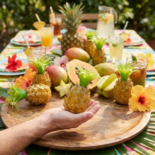 Mini ananas décoratifs artificiels pour fêtes tropicales (6 pièces) | Floristik24.be