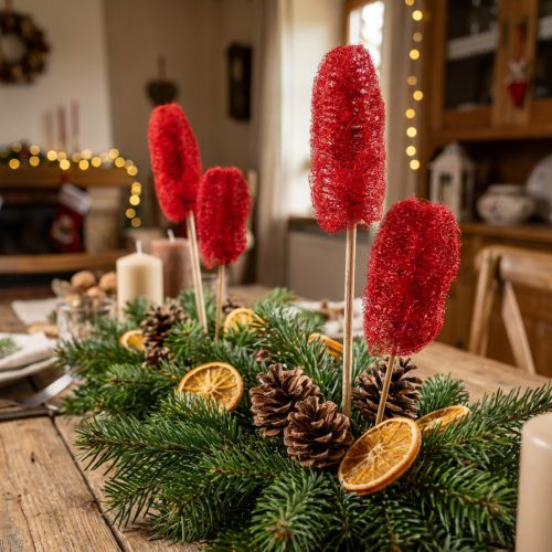 Luffa petit sur bâton rouge 25 pcs | Floristik24.be