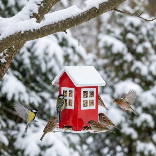 Mangeoire à oiseaux Mangeoire à oiseaux en métal rouge et blanc H19cm | Floristik24.be