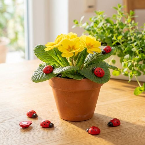 Coccinelles décoratives à coller 2,5cm rouge 72 pcs | Floristik24.be