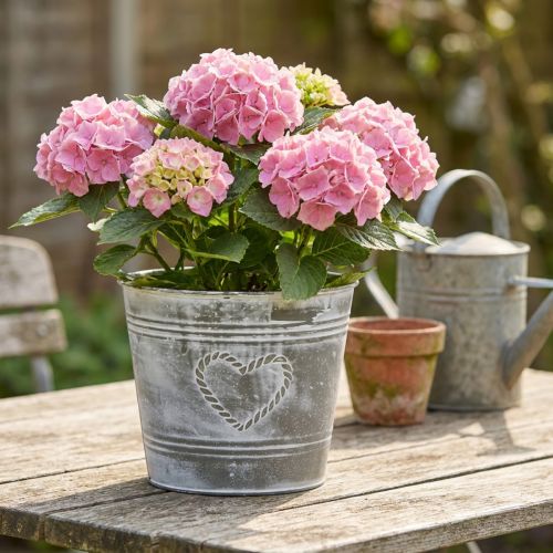 Pot de fleurs en métal style shabby chic avec motif en forme de cœur, Ø 22 cm, H 17,5 cm | Floristik24.be