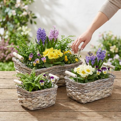 Panier à plantes avec anses, bol panier carré, jardinière naturelle pour planter shabby chic blanc lavé L30/25,5/21 cm H12/11/10 cm lot de 3 | Floristik24.be