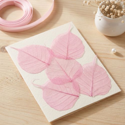 Feuilles squelettiques, feuilles de saule décoratives roses de 5 à 9 cm, 200 pièces - Idéal pour les cartes de vœux et les loisirs créatifs | Floristik24.be