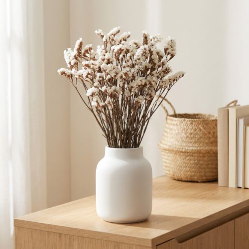 Fleurs séchées de lavande de mer blanche (Limonium), 60 cm, 35 g | Floristik24.be