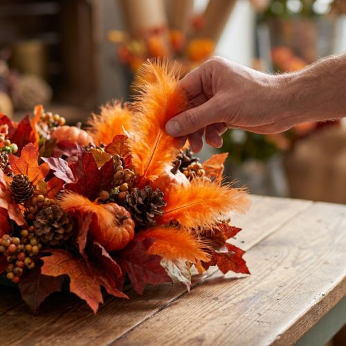 Article Plumes courtes 30g Orange