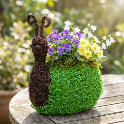 Jardinière Escargot Vigne Naturel, Vert 21x14cm H26cm | Floristik24.be
