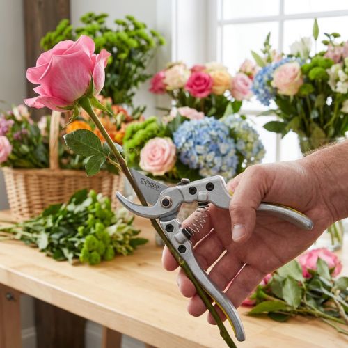 Sécateur Oasis 20cm | Floristik24.be