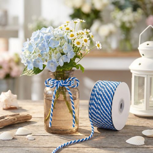 Article Cordon bleu blanc ruban cadeau cordon décoratif ruban décoratif 25m