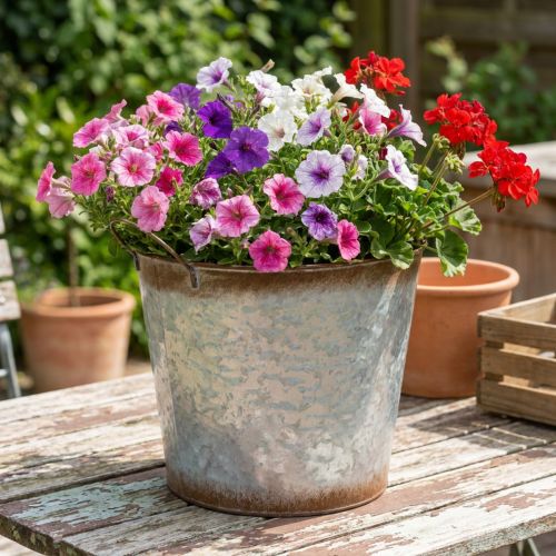Pot de fleurs avec anses, coupe décorative à l'aspect rouillé, récipient en métal argenté Ø26 cm H25,5 cm | Floristik24.be