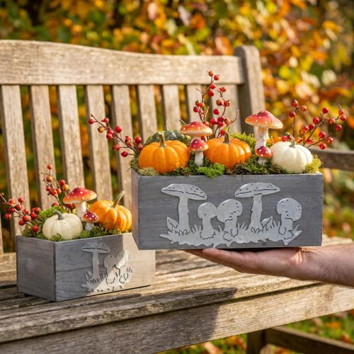 Coffret en bois champignon vénéneux, décorations d'automne, décorations de jardin, bacs à plantes L40/30cm, lot de 2 | Floristik24.be