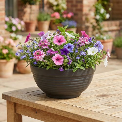 Bol R en plastique anthracite 19 cm, 10 pièces | Floristik24.be