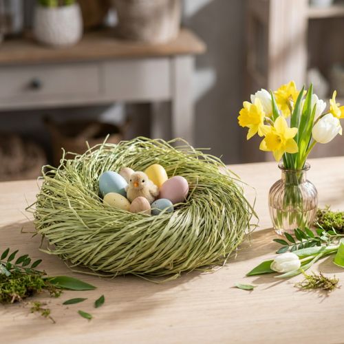 Raphia décoratif pour travaux manuels raphia naturel raphia citron vert 200g | Floristik24.be