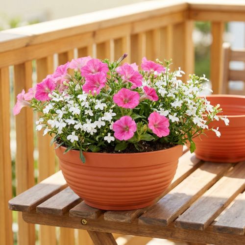 Article Bol R en plastique terre cuite Ø15cm, 10 pièces