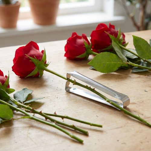 Article Désépineur à roses Désépinoir Couleur argent 13cm