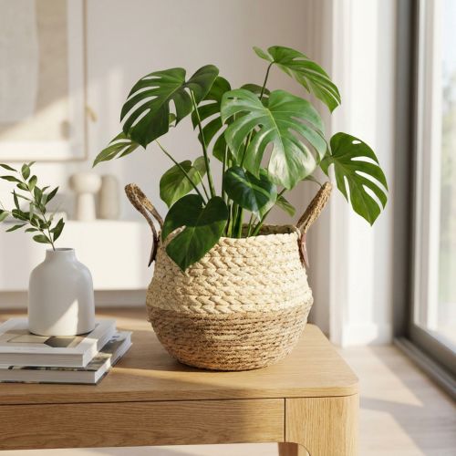 Panier en jonc de mer bicolore avec poignées - Panier de rangement et de plantation - Naturel et marron Ø25 cm H24 cm | Floristik24.be