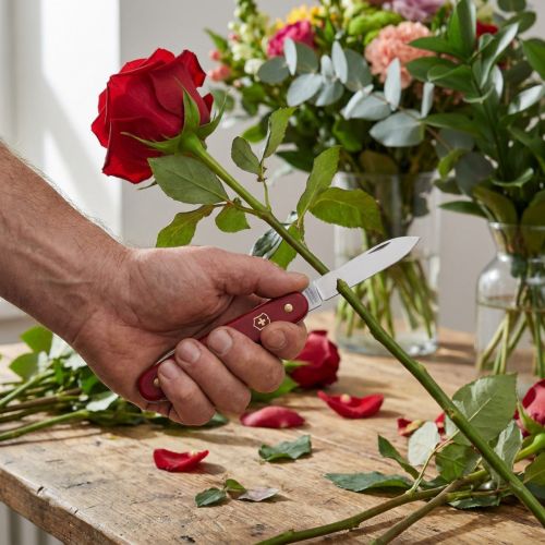 Couteau fleuriste Victorinox | Floristik24.be