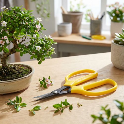 Article Bonsaï Oasis et pince à épiler 15,5 cm