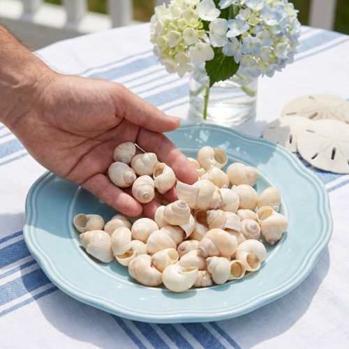 Moule Umachi 500g | Floristik24.be
