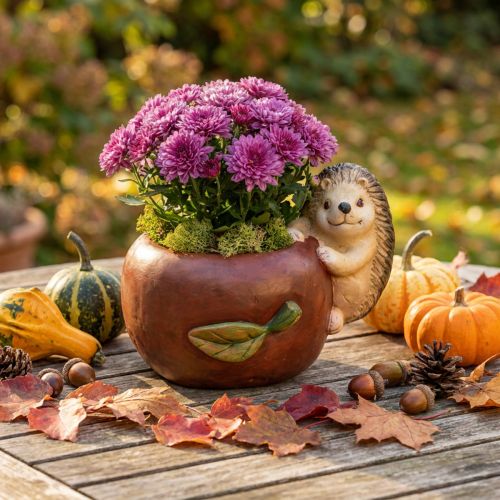 Jardinière, pomme avec hérisson, décoration d'automne, cache-pot, céramique Ø16cm H22cm L33cm | Floristik24.be