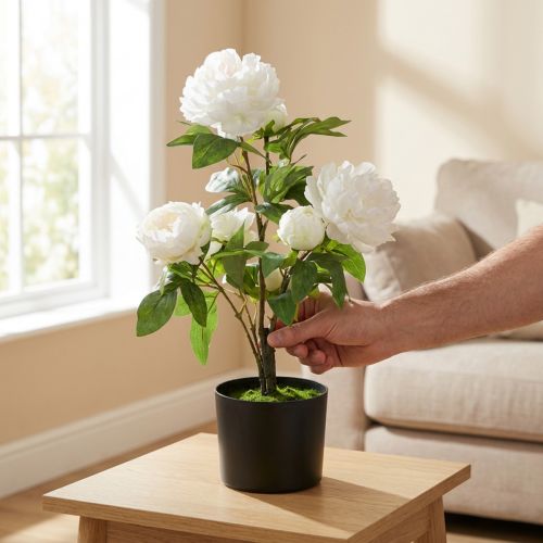 Paeonia artificielle, pivoine en pot, plante décorative fleurs blanches H57cm | Floristik24.be