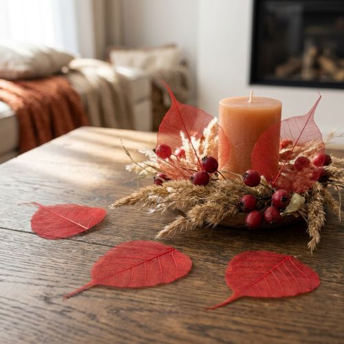 Feuilles décoratives de Bodhi squelettisées pour l'art floral et les loisirs créatifs | Floristik24.be