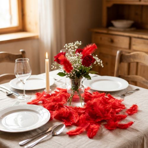 Plumes courtes 30g Rouge | Floristik24.be
