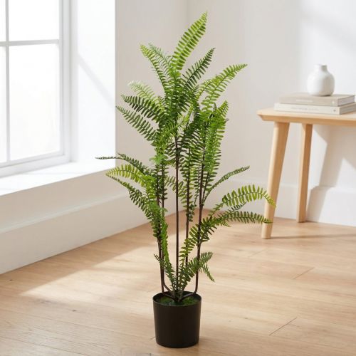 Fougère en pot vert 80cm | Floristik24.be