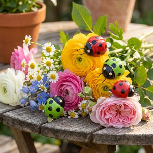 Coccinelles avec clip 4,5 cm rouge, vert 6 p. | Floristik24.be