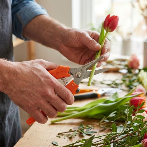 Article Ciseaux à fleurs pour une coupe précise des fleurs et l'art floral