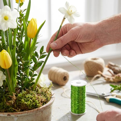 Fil décoratif effet bouillon Ø0,30 mm 100 g 140 m, fil de fleuriste vert pomme, fil de bricolage | Floristik24.be