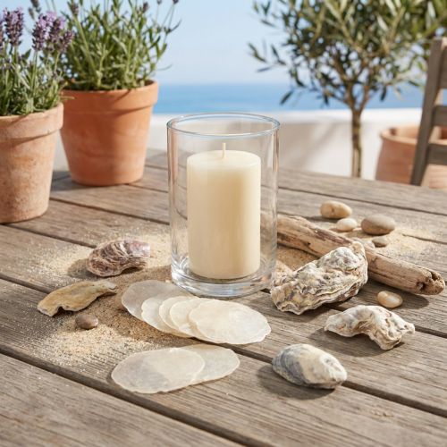 Moules huîtres tranches de capiz en filet naturel 3,5–9,5cm 2pcs | Floristik24.be