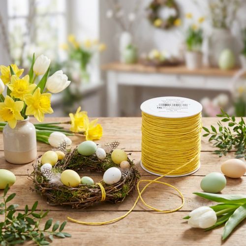 Cordon de papier enroulé Ø2mm 100m jaune | Floristik24.be