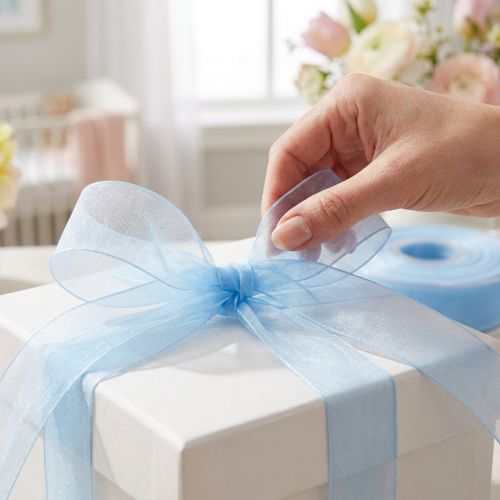 Ruban organza ruban cadeau bleu clair ruban bleu lisière 25mm 50m | Floristik24.be